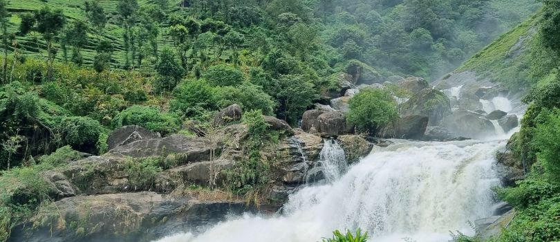 8 Days Alleppey & Kochi Budget Holiday