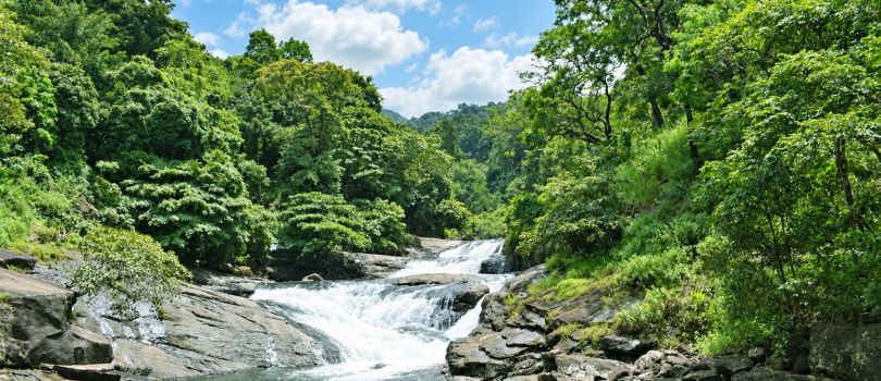 Kozhippara Falls
