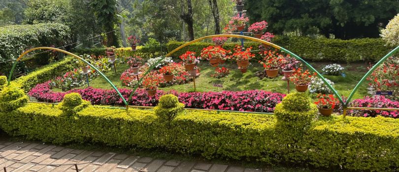 Kodaikanal & Nilgiris 5 Days Budget Tour Package