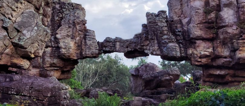 Rock Garden