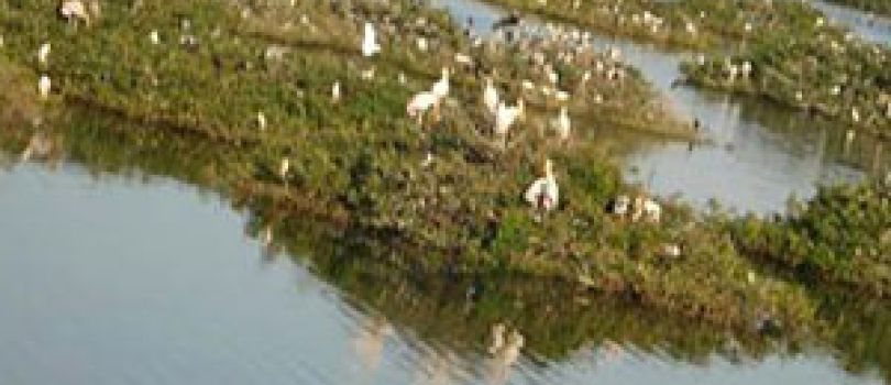 Explore South India Tour
