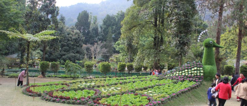 6 Days Darjeeling & Gangtok Budget Tour Package