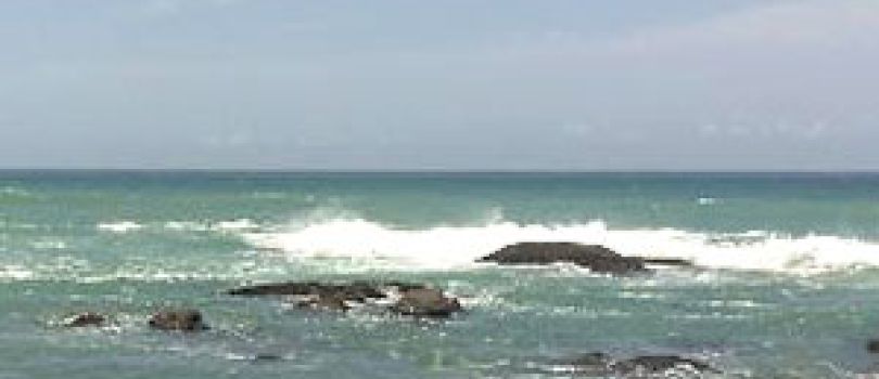 8N 9D Kerala And Tamil Nadu Tour