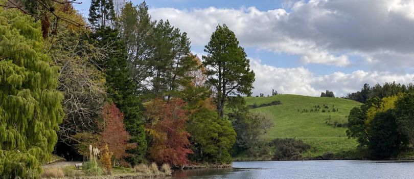 McLaren Falls Park