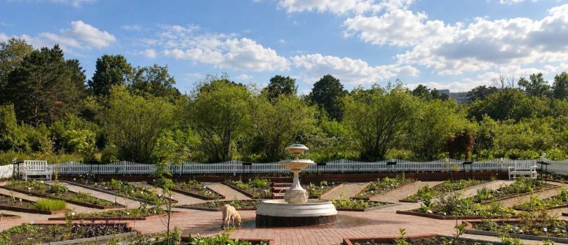 Siberian Botanical Garden