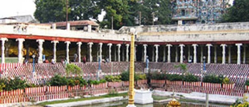 Kerala Family Tours
