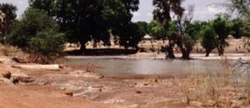 Bao Bolong Wetland Reserve