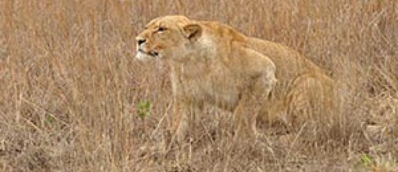 Kasungu National Park