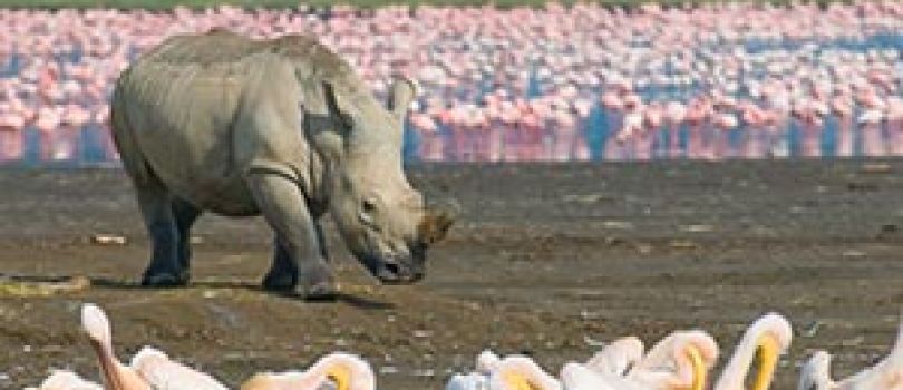 Complete Kenya Explorer - 10 Days Tour