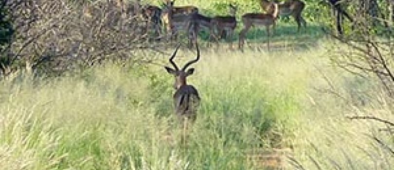 Tachila Nature Reserve