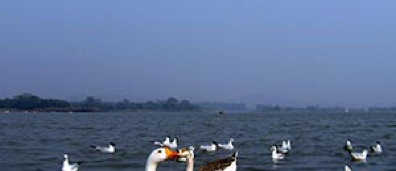 Shimla Manali Honeymoon Tour