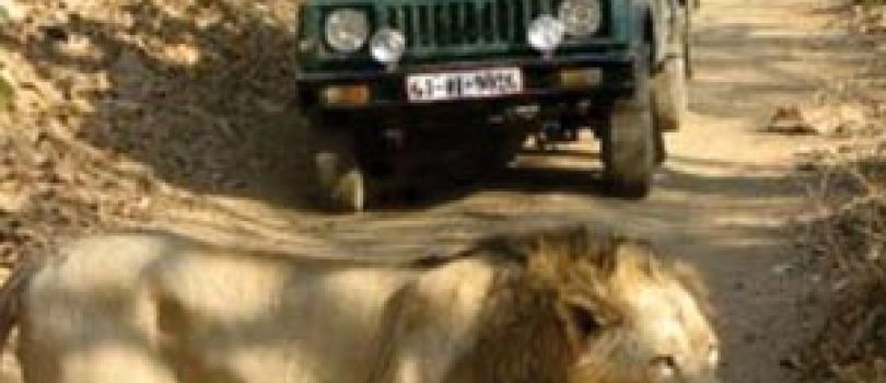 3 Night 4 Days Dwarka Somnath Tour Package