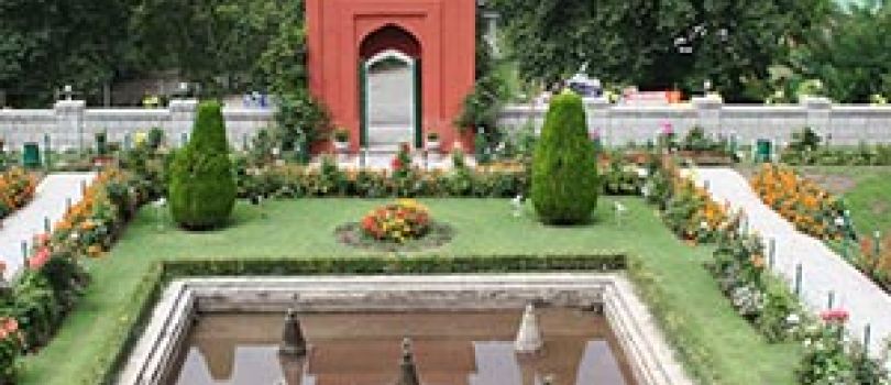 Kashmir Winter Package