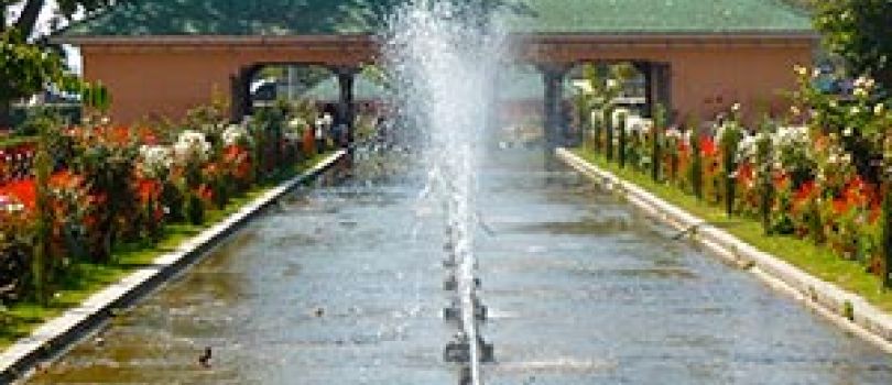 Kashmir 6N Tour Package