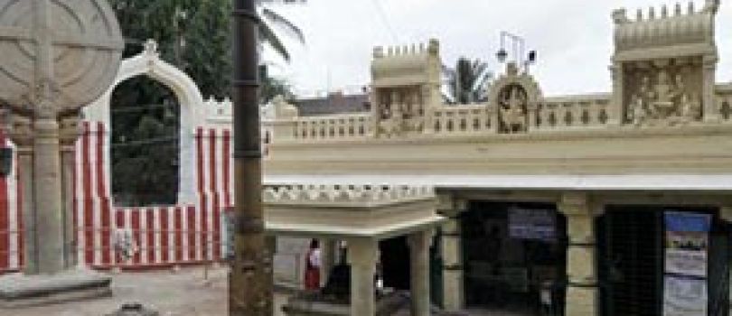 8 Days Kerala Wildlife Holiday Package