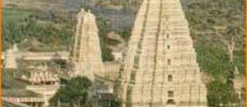 Temples, Forts & Beaches