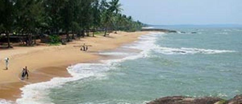 Wayanad With Chembra Peak - Kappad Beach 4 Days