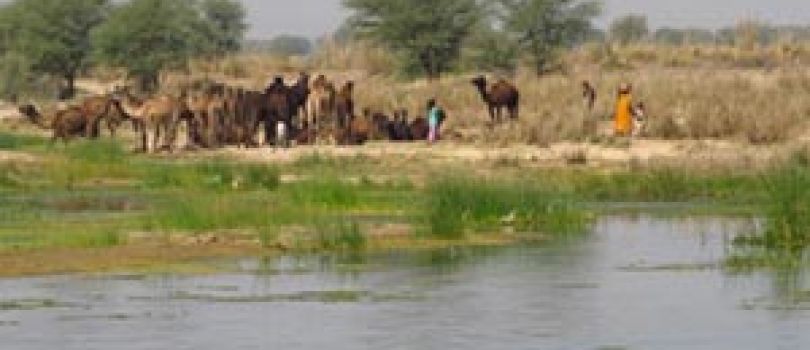 Golden Triangle Tour with Ranthambore