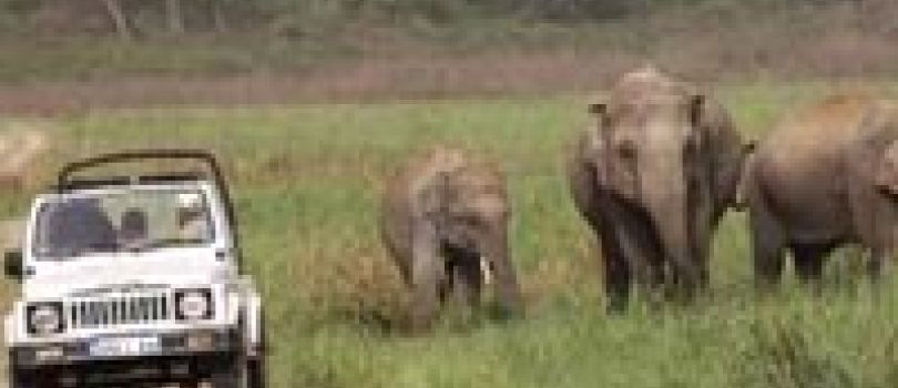Ranthambore Wildlife Safari 4 Days Tour