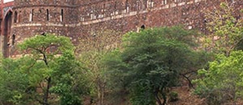 Golden Triangle Tour Package