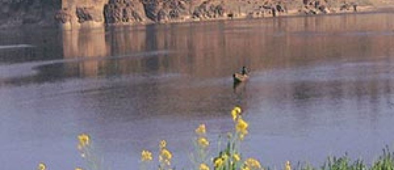 7 Night - 8 Day Kashi - Varanasi Tour