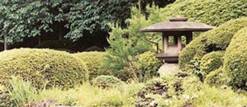 Best Of Japan With Korea 8 Night - 9 Days Tour