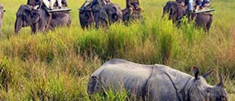 Assam Adventure -  5 Nights Discovering Guwahati, Shillong, and Kaziranga