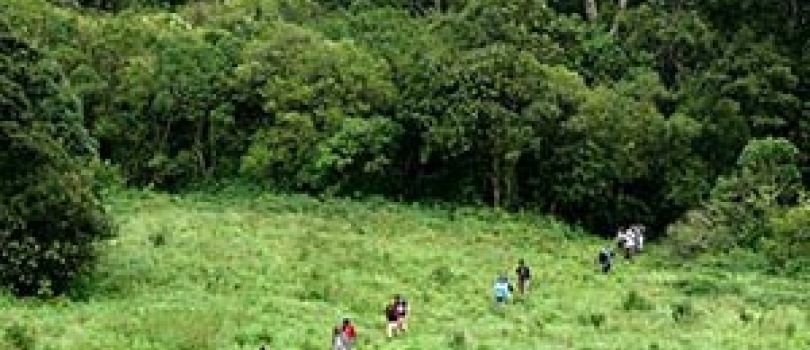 South India Tour Package from Bangalore