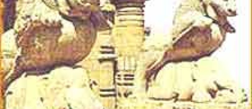 Jagannath Puri Rath Yatra Package