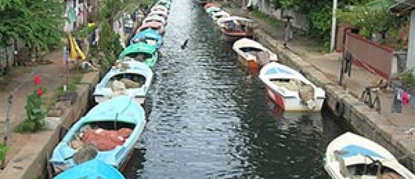 Discover Sri Lanka Tour