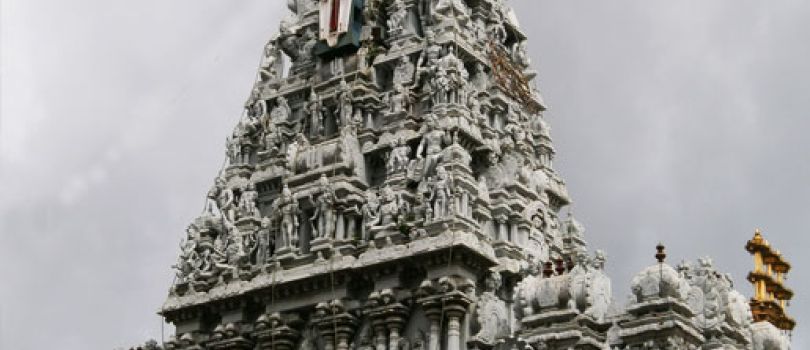 Sri Parthasarathy Temple