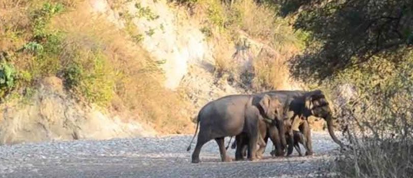 Rajaji National Park