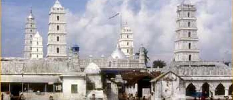 4 night 5 days Pilgrim family Tour package