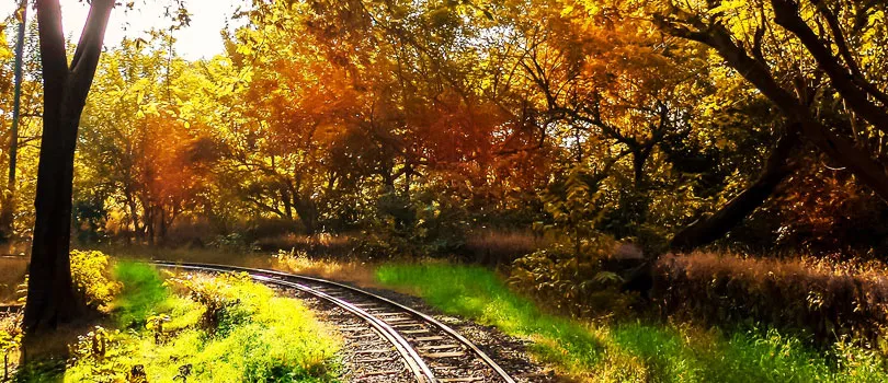 Sanjay Gandhi National Park