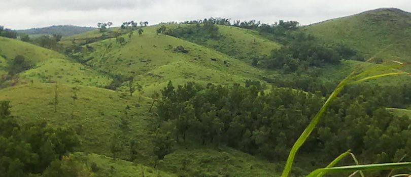 Idukki Hills