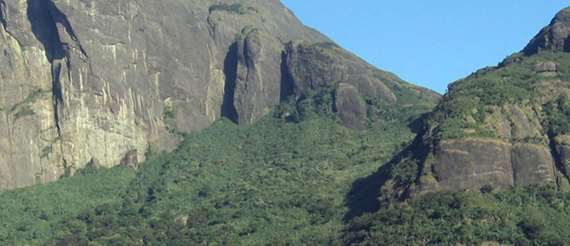 Trekking in Agasthyakoodam Peak