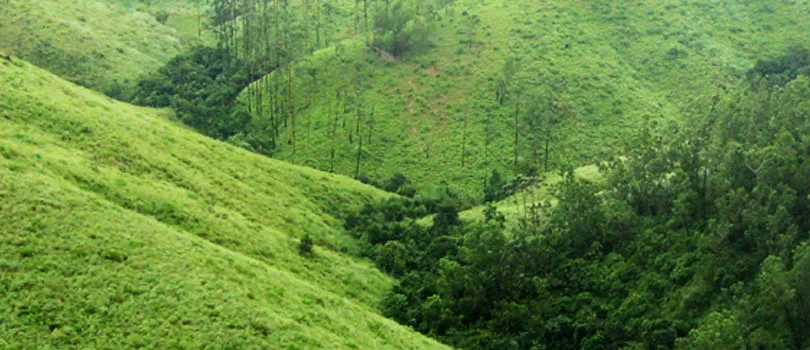 Wagamon Trek