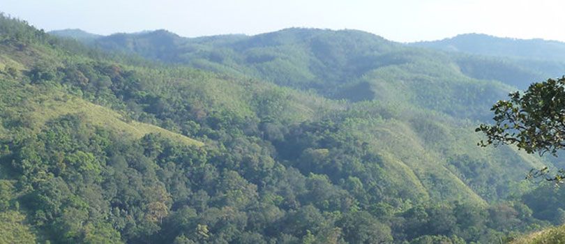 Trekking in Coorg