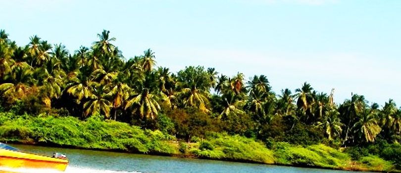 Plage Paradiso Beach