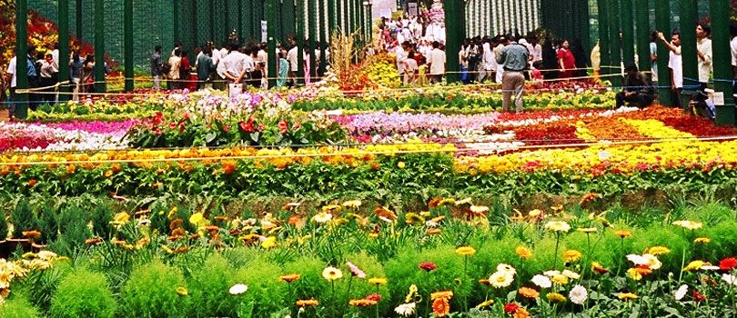 Lalbagh Botanical Garden