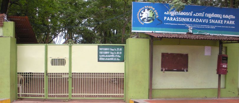 Parassinikkadavu Snake Park