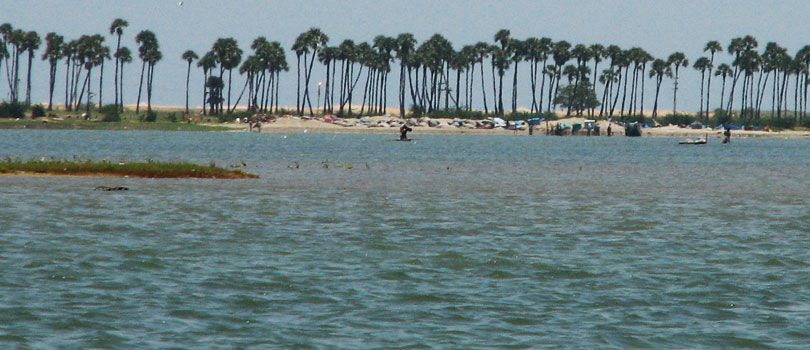 Pulicat Lake