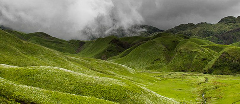 Dzukou Valley