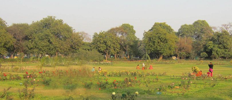 National Rose Garden