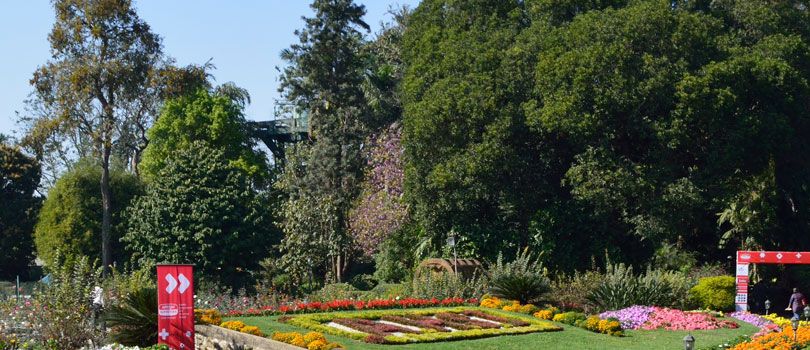 Horticultural Garden