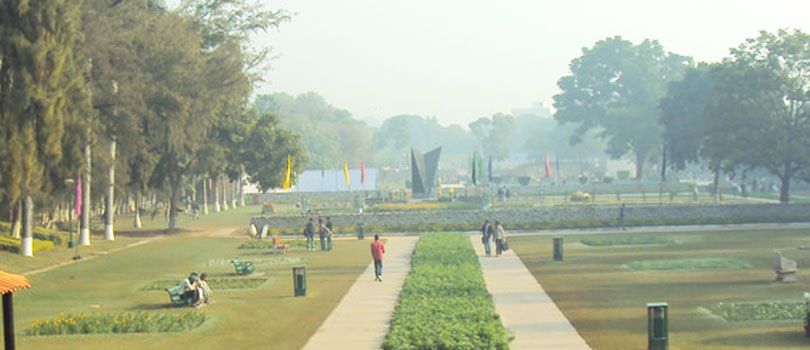 Terraced Flower Garden