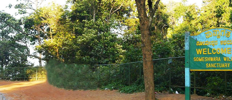 Trekking in Agumbe Ghat