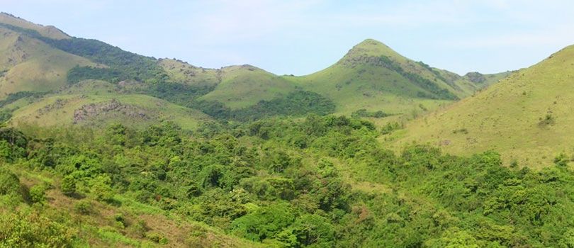 Mountain Trekking in Kodagu