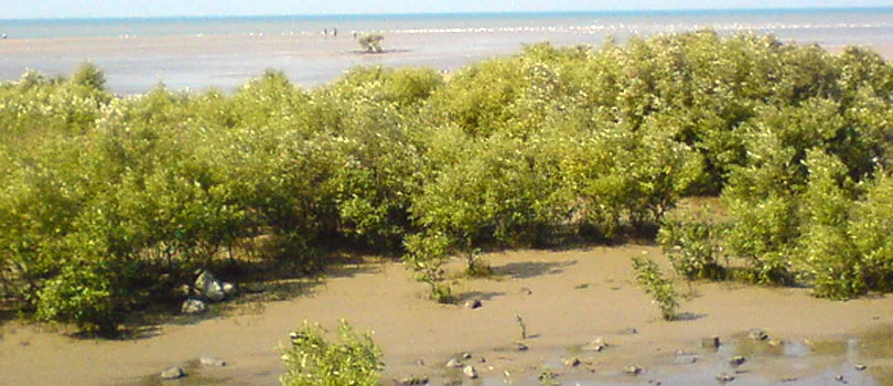 Marine National Park