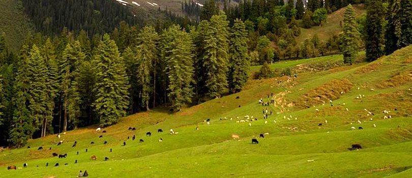 Himalayan National Park